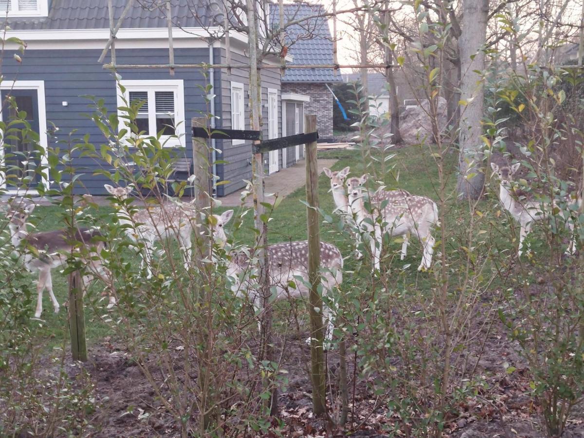 New! Fantastic Appartments - Duno Lodges 4 Persons And Dogs Oostkapelle Buitenkant foto